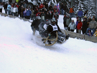 Hornschlittenrennen in Garmisch-Partenkirchen