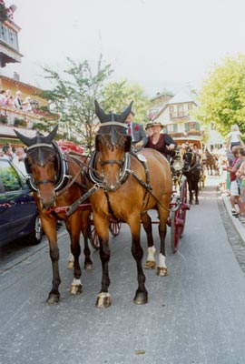 Rosstag in Rottach Egern 