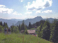 Chiemgau: Unternberg Blick auf Hörndlwand