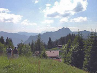 Chiemgau: Unternberg Blick auf H&ouml;rndlwand