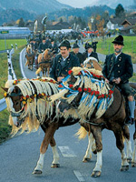 Chiemsee: Leonhardi-Ritt