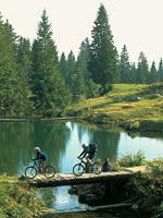 Mountainbiken am Chiemsee