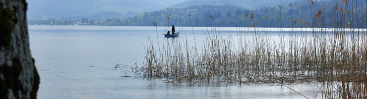 Geduld und Gelassenheit beim Angeln im Tegernsee