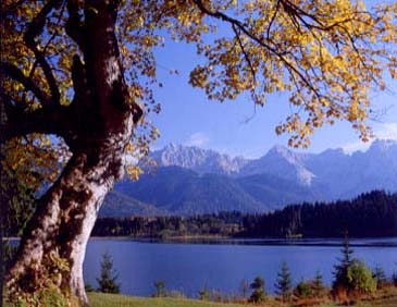 Herbst in Wallgau