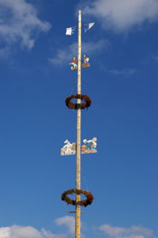 Maibaum Kellberg