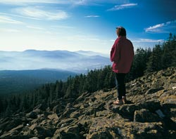 Bayerischer Wald: Zwercheck