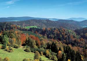 Bayerischer Wald Urlaub: Landschaft 
