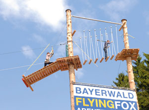 Flying Fox