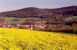 Freudenberg