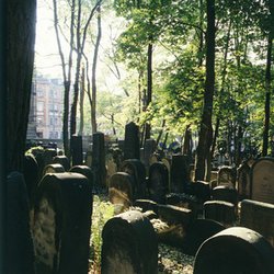 alter jüdischer Friedhof alter jüdischer Friedhof