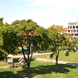 Südstadtpark Südstadtpark