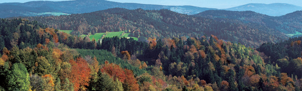 Der Baierweg: Landschaft Bayerischer Wald