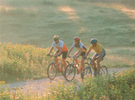 Mountainbiken in den Ammergauer Alpen