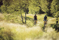 Mountainbiken, Mountainbiketouren in Franken